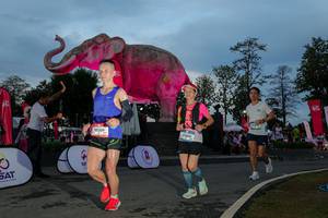 BIB: 
                            <button type="button" onclick="openModal(26529617)" class="btn btn-primary btn-sm float-right btn-popup" data-toggle="modal" data-target=".modal-high-quality">
                        <i class="fas fa-shopping-cart"></i> Add to Cart
                    </button>
                                            <button type="button" onclick="isThisMe(26529617, true)" class="btn btn-success btn-sm float-right btn-popup btn-isme hidden" data-toggle="tooltip" data-placement="bottom" title="นี่คือรูปของคุณใช่ไหม คลิกที่นี่เพื่อเอาเข้าอัลบั้ม">
                        <i class="fas fa-plus"></i> Add to album
                    </button>
                    <button type="button" onclick="isThisMe(26529617, false)" class="btn btn-warning btn-sm float-right btn-popup btn-isnotme hidden">
                        <i class="fas fa-ban"></i> Remove from album
                    </button>